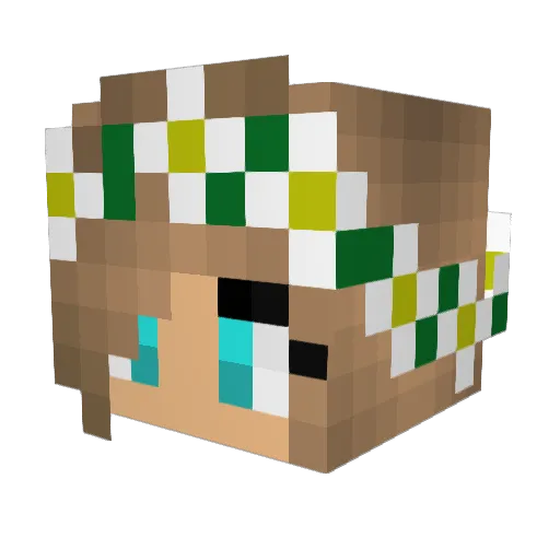 MegaVans234 Minecraft avatar head, 3D render