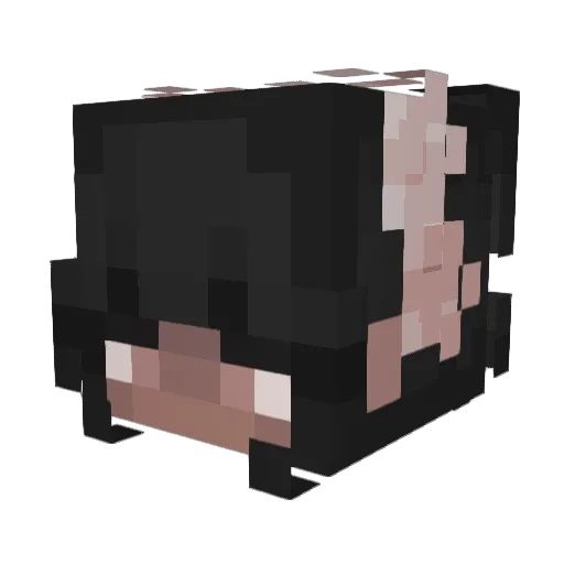 MegaWooloo Minecraft avatar head, 3D render