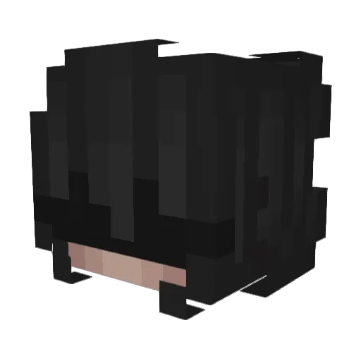 MegaYEET_ Minecraft avatar head, 3D render