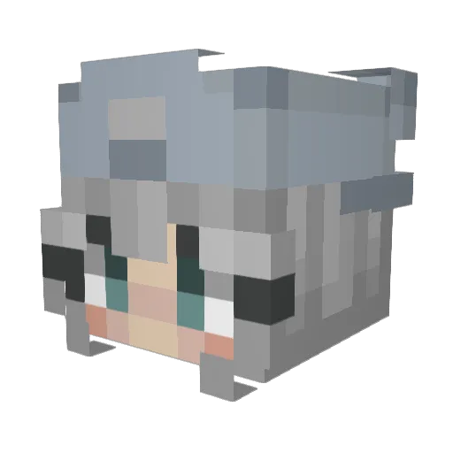 Mega_Bun Minecraft avatar head, 3D render