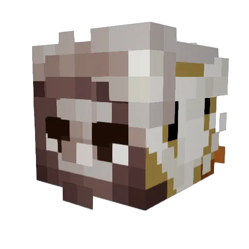 Megafan117 Minecraft avatar head, 3D render