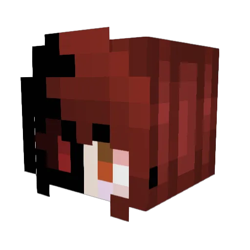 Megalo25 Minecraft avatar head, 3D render