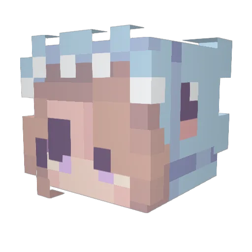 Megalodon2677 Minecraft avatar head, 3D render