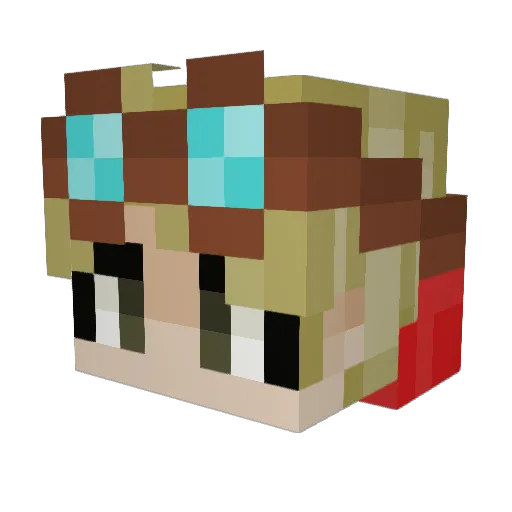 MegalodonChicken Minecraft avatar head, 3D render