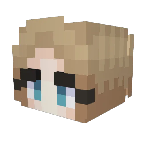 Megalodons754 Minecraft avatar head, 3D render