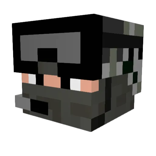 Megaman563 Minecraft avatar head, 3D render
