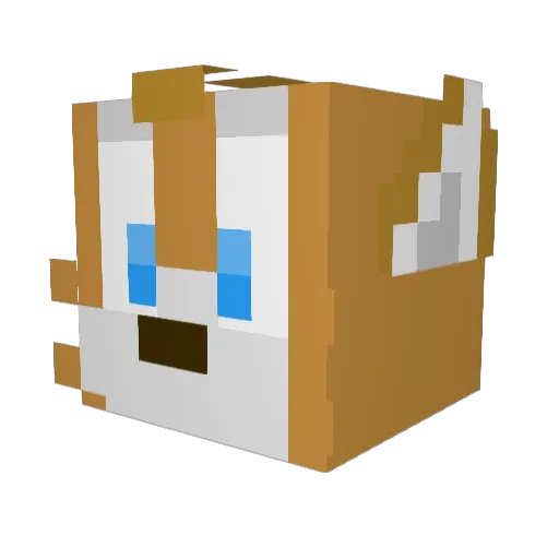 Megamaster134 Minecraft avatar head, 3D render