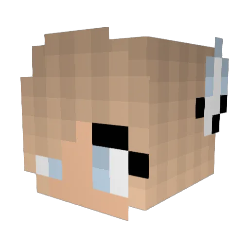 MeganJ_22 Minecraft avatar head, 3D render