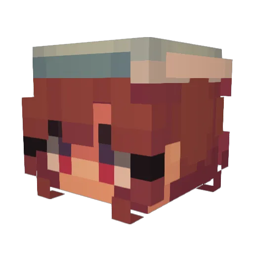 MeganMae21 Minecraft avatar head, 3D render