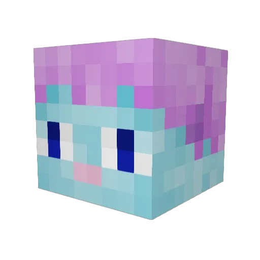 MeganS314 Minecraft avatar head, 3D render