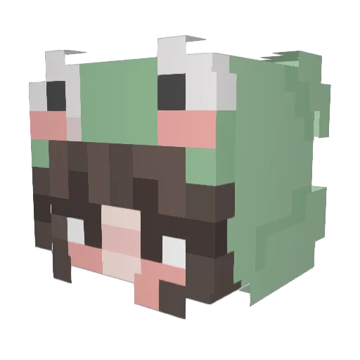 Megan_Jane14 Minecraft avatar head, 3D render