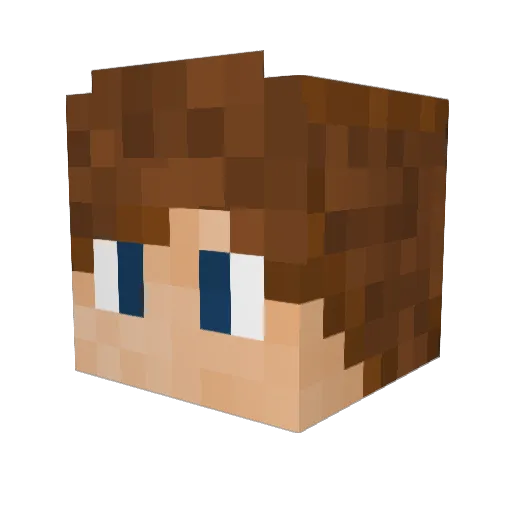 MeganeSonic Minecraft avatar head, 3D render