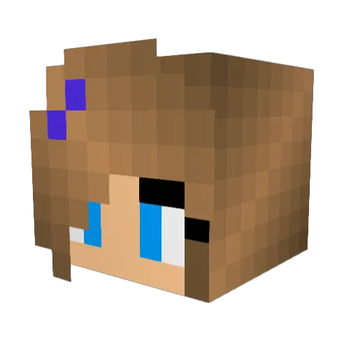 Meganeyx3 Minecraft avatar head, 3D render