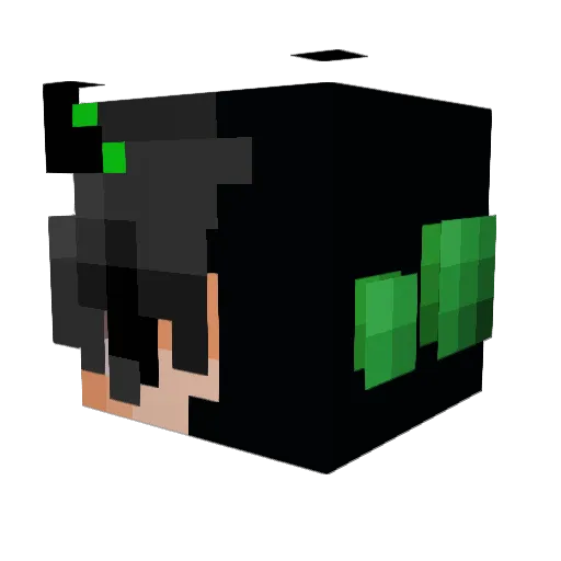 Meganiton Minecraft avatar head, 3D render