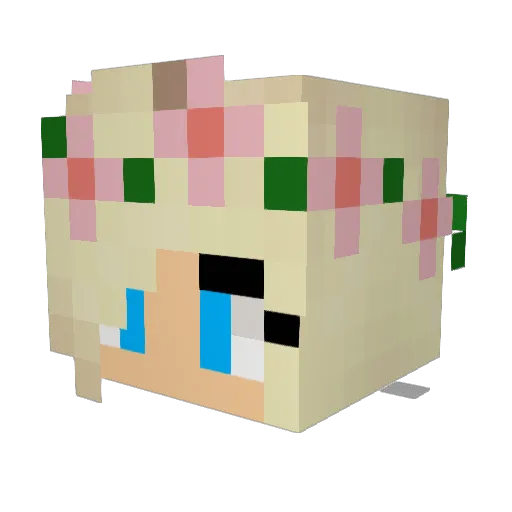 Meganmines Minecraft avatar head, 3D render