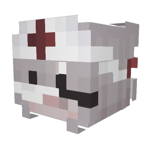 Megannx Minecraft avatar head, 3D render