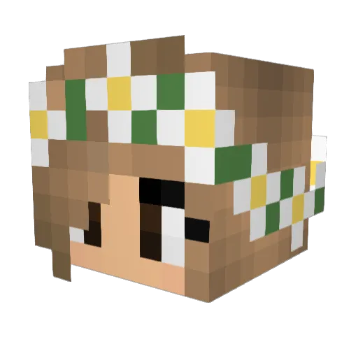 Meganstar10 Minecraft avatar head, 3D render