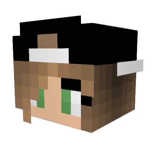 Meganxcarpenter Minecraft avatar head, 3D render