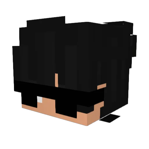 Megapro1337 Minecraft avatar head, 3D render