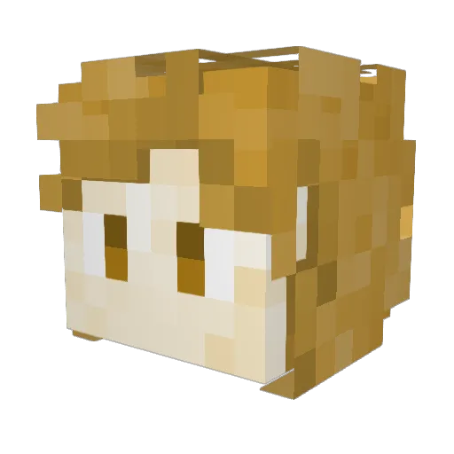 Megarai111 Minecraft avatar head, 3D render