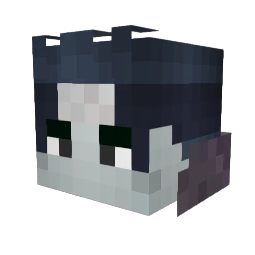 Megasterre22 Minecraft avatar head, 3D render