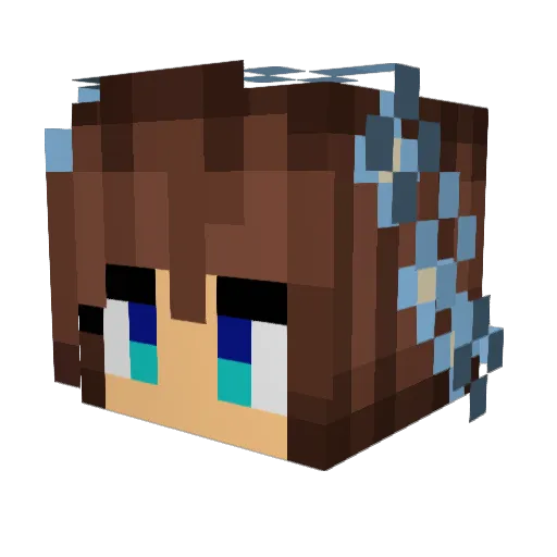 Megatron123 Minecraft avatar head, 3D render