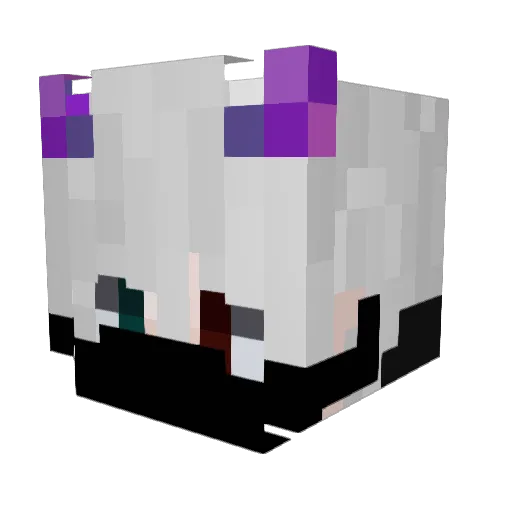 Megatron61208 Minecraft avatar head, 3D render