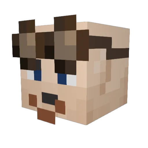 Megazon Minecraft avatar head, 3D render