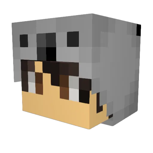 Megers19 Minecraft avatar head, 3D render