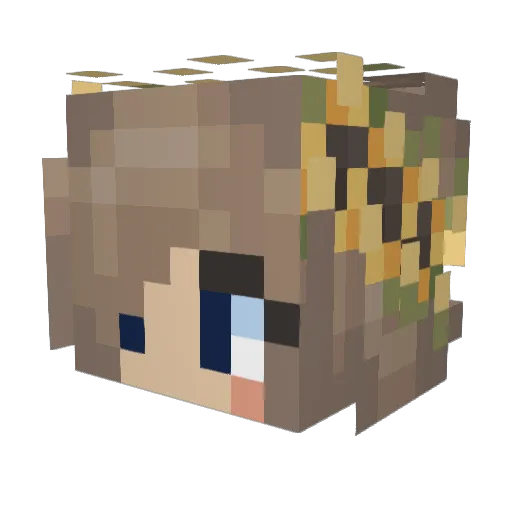 Meggarino Minecraft avatar head, 3D render
