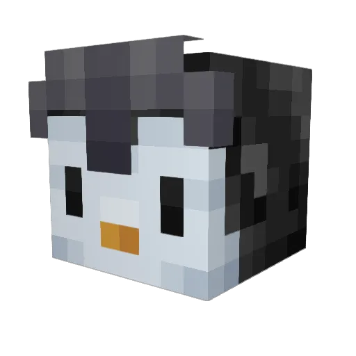MeggoThePenguino Minecraft avatar head, 3D render