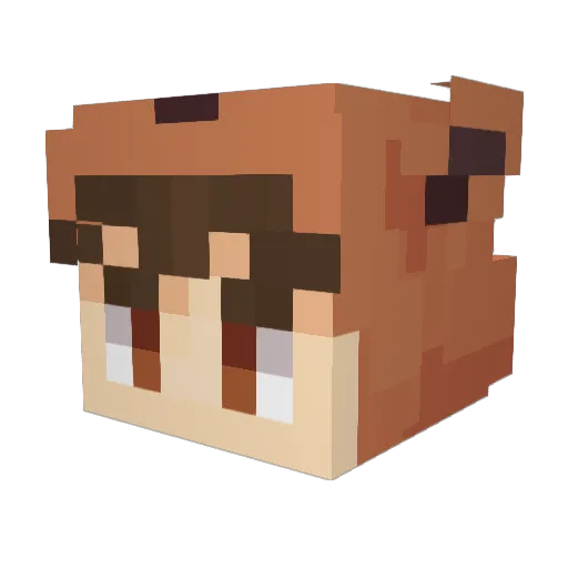 Megismagis Minecraft avatar head, 3D render