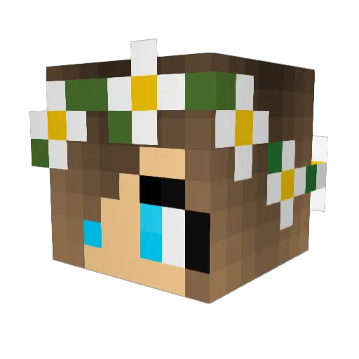 Megn8tor Minecraft avatar head, 3D render