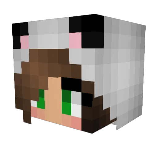 Megoonn Minecraft avatar head, 3D render