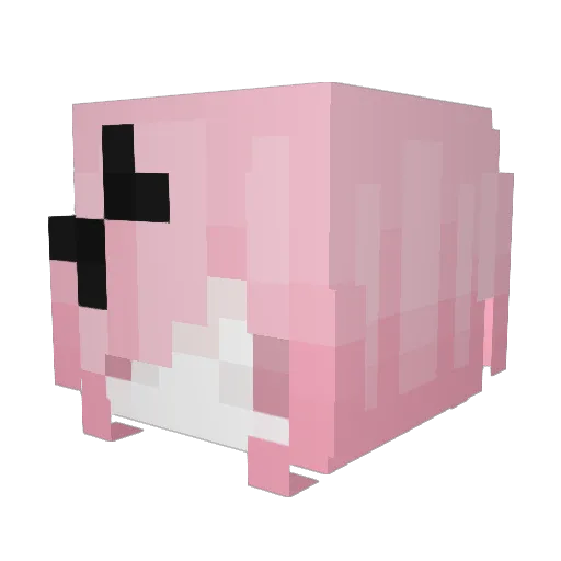 Megpoo Minecraft avatar head, 3D render