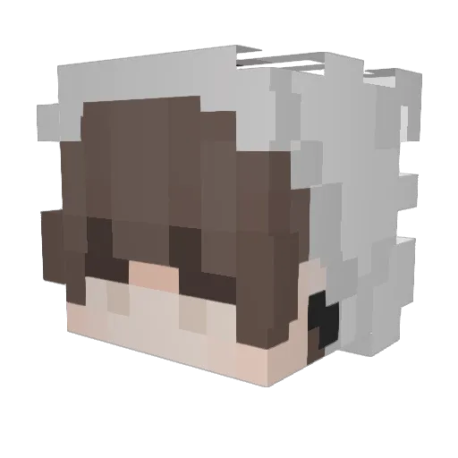 Megrid Minecraft avatar head, 3D render