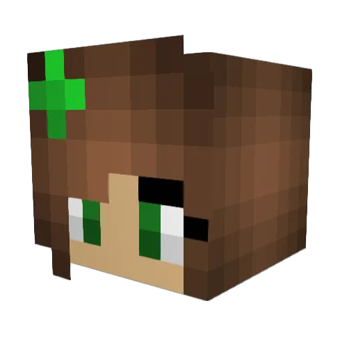 Megs17 Minecraft avatar head, 3D render