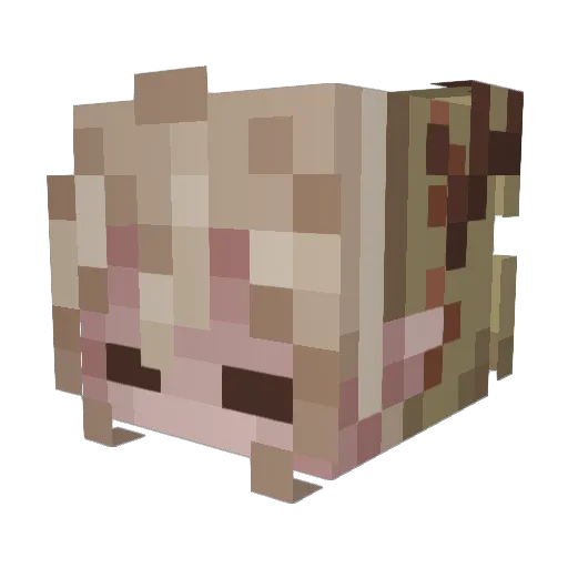 Megumuri Minecraft avatar head, 3D render