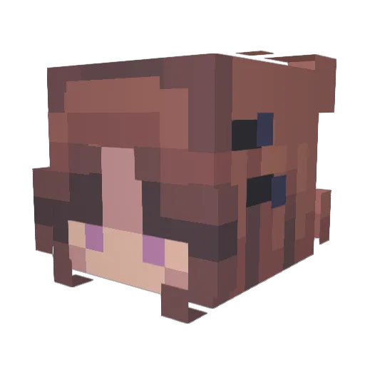 Megunut Minecraft avatar head, 3D render