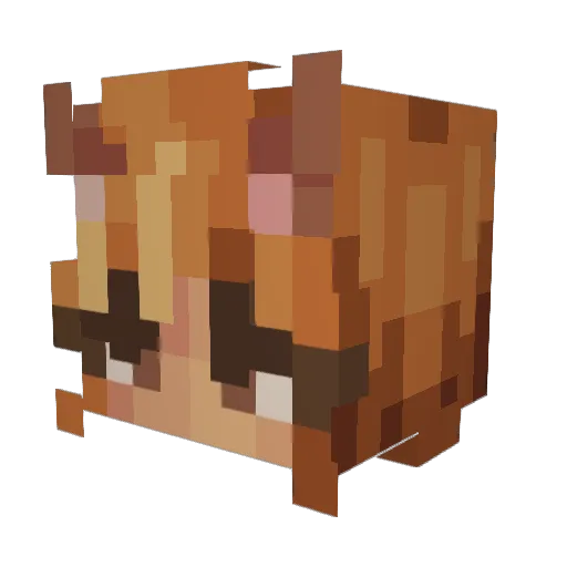 Megurd Minecraft avatar head, 3D render
