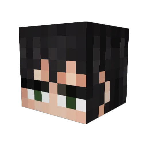 Meguru2238 Minecraft avatar head, 3D render