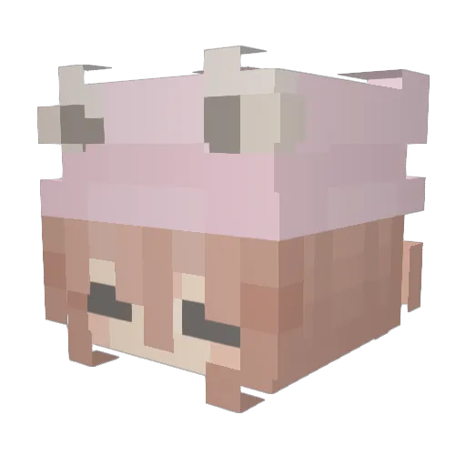 MehChickenNoobs Minecraft avatar head, 3D render