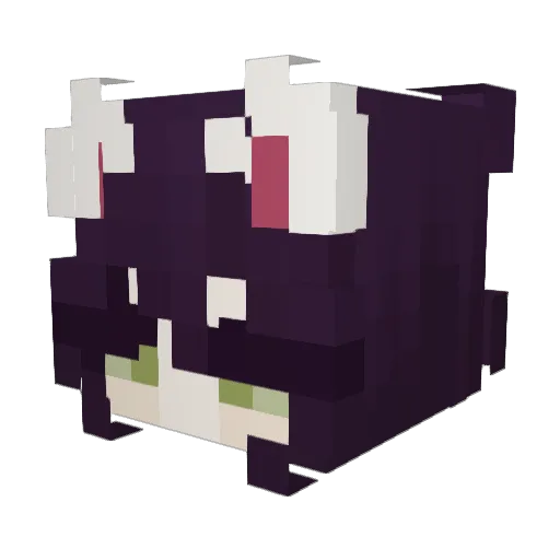 Mehhlissa Minecraft avatar head, 3D render