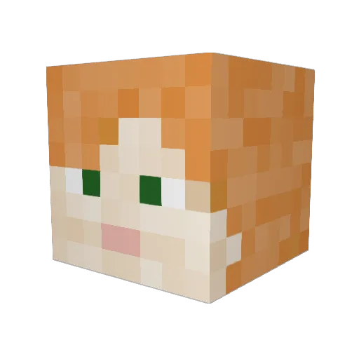 Mehlschwitze Minecraft avatar head, 3D render
