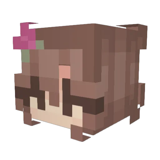 Mehr19 Minecraft avatar head, 3D render