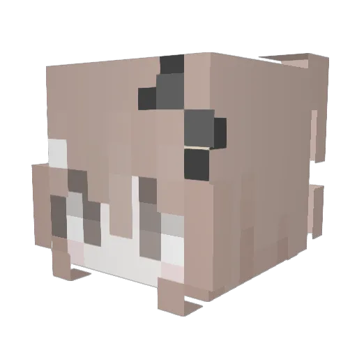 Mehwy Minecraft avatar head, 3D render