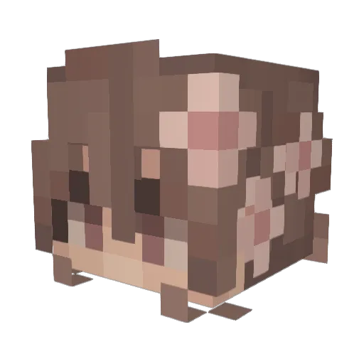 MeiDaiyu Minecraft avatar head, 3D render