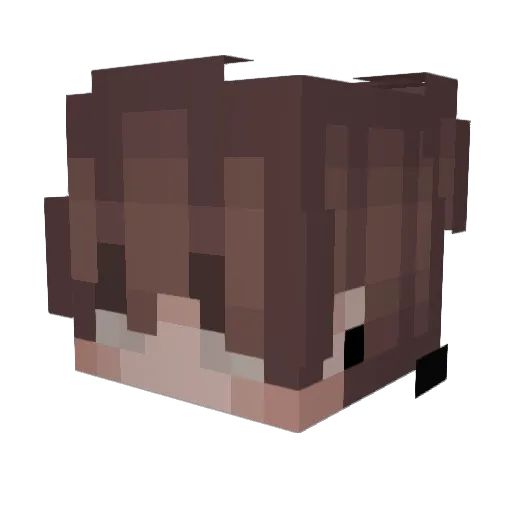 Meiaum11 Minecraft avatar head, 3D render