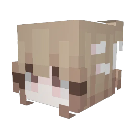 Meidaaa Minecraft avatar head, 3D render