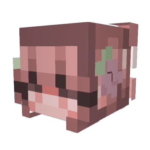 Meike163 Minecraft avatar head, 3D render